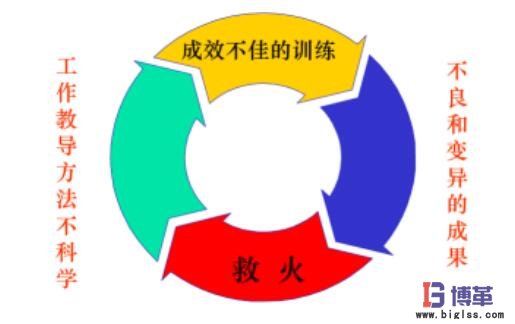 企業的工作教導
